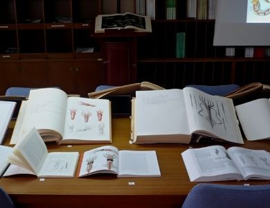 Books & Illustrations